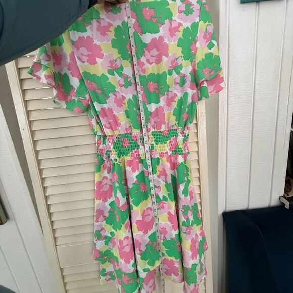 Pink and Green Flutter Sleeve A-Line Sundress - Picture 7 of 11